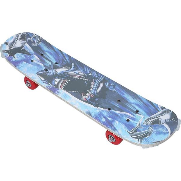 DVDL1W1- A99M  DaViDeLi skate Longy design 24&quot;