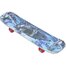 DVDL1W1- A99M  DaViDeLi skate Longy design 24&quot;