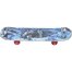 DVDL1W1- A99M  DaViDeLi skate Longy design 24&quot;