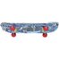 DVDL1W1- A99M  DaViDeLi skate Longy design 24&quot;